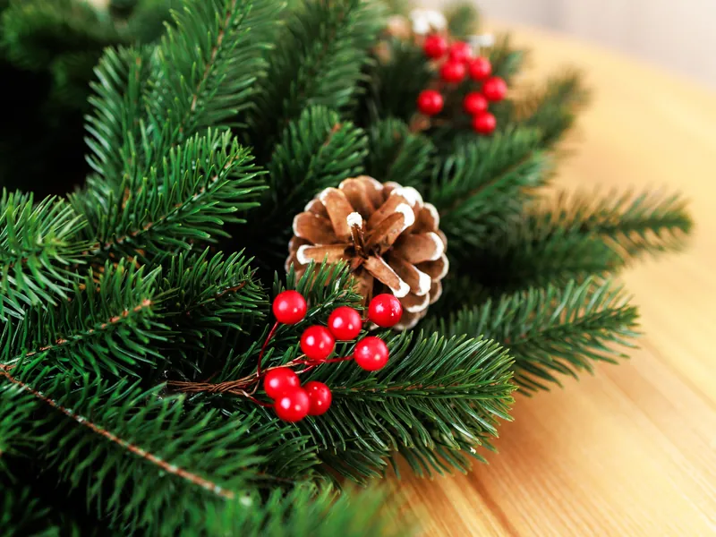 Зелений литий віночок Santa-S з шишками та червоними ягодами